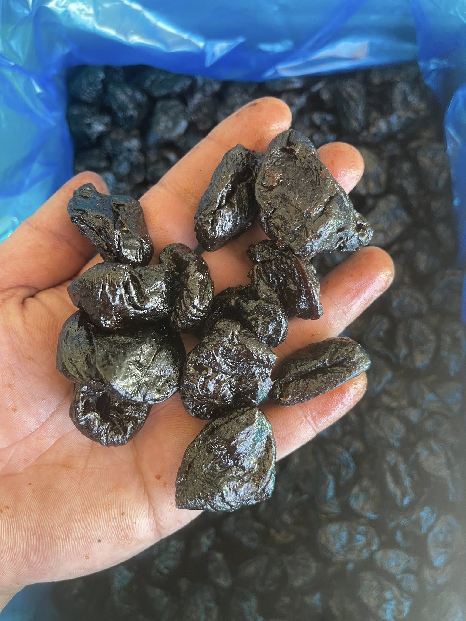 Ciruela Pasa Sin Semilla 500g